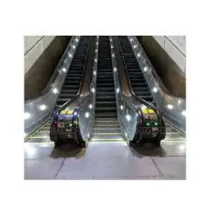 Horizontal Escalator Moving Walk Way by Home Lift Elevator