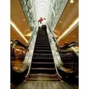 Small Home Escalator for Construction