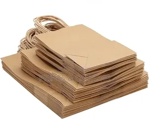 Paper Bags With Twisted Hand