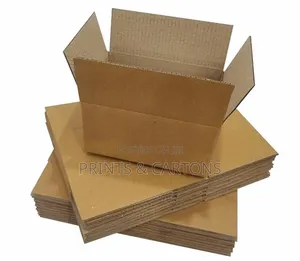 Carton for Clothes Packing