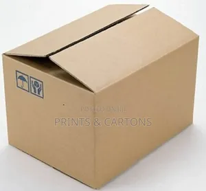 Carton for Transporting Goods