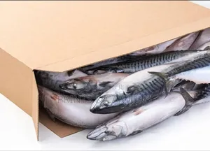Frozen Fish Packaging Carton