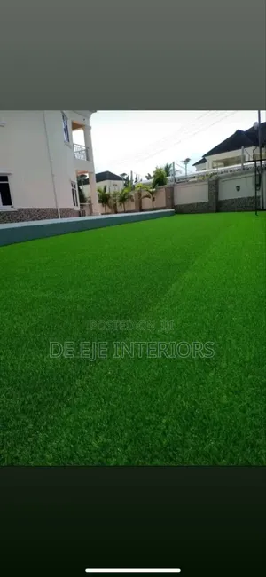 Carpet Grass