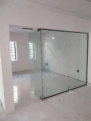 Frameless Glass Doors