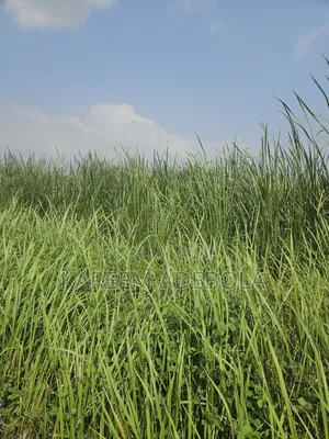 200 Hectares Available for Sale at Lugbe South Abuja