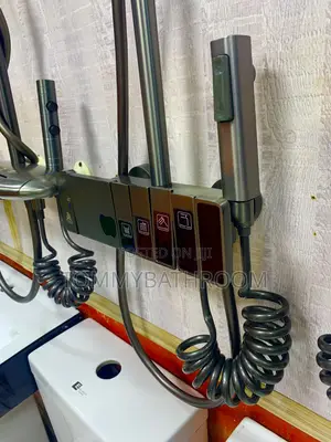 Apple Grey Standing Shower