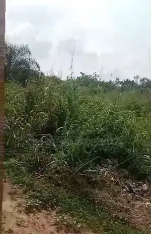 3 and Half Plot of Land for Sale