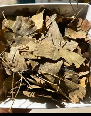Japanese Silver Apricot Also Known Gingko Biloba Leaves 250g
