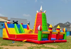 Slide Bounce Cimber Bouncing Castle for Sale