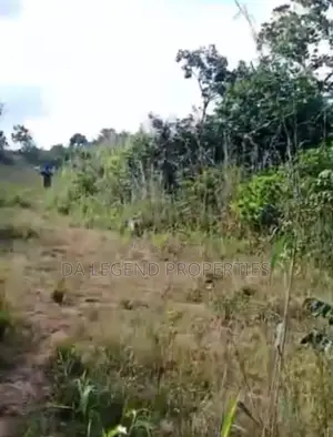 32 and Half Plot of Land for Sale