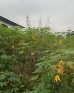 One Plot of Land for Sale