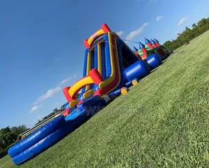 Big Slide and Swim Bouncing Castle for Sale