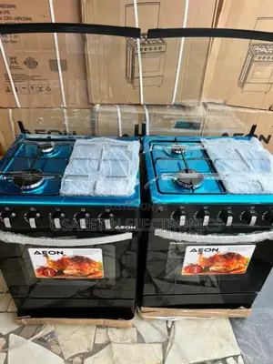 Aeon Standing Gas Cooker