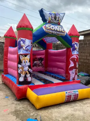 Quality Imported Children Slide Bouncing Castle