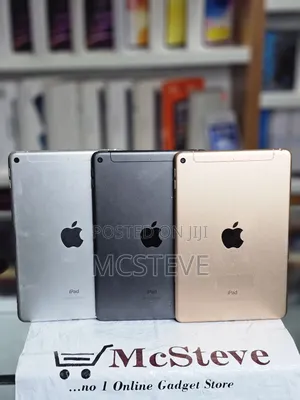 Apple iPad mini 5 256 GB Gray