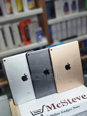 Apple iPad mini 5 256 GB Gray