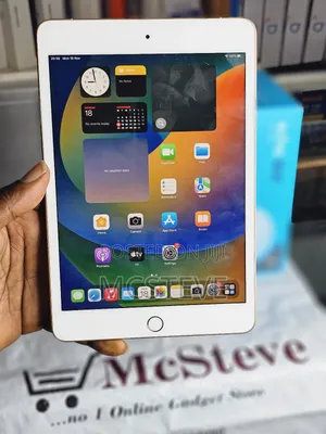 Apple iPad mini 5 256 GB Gray