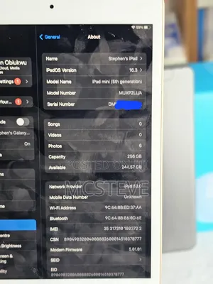 Apple iPad mini 5 256 GB Gray