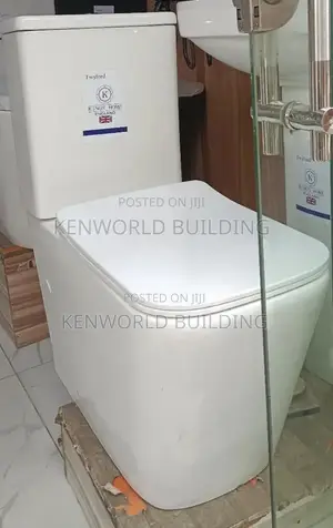 Luxurious Back to Wall Square Wc