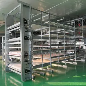H Type Automatic Breeding Cage for Broilers,Layers