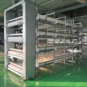 Automatic Broiler Rearing Cage,Imported Layer Cage