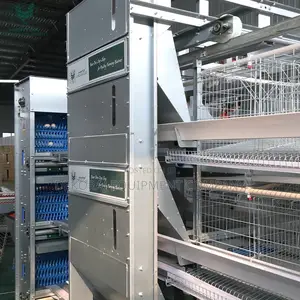 H Type Automatic Layer Rearing Cage ,Fish Smoking Kiln