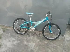 Trek Children Bicycle 20 Inch