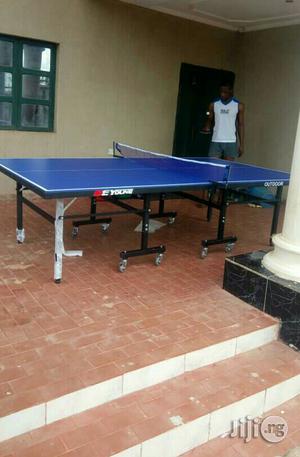 De Young Waterproof Table Tennis Board