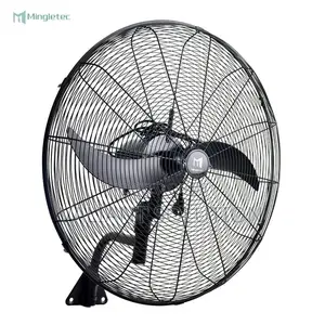 Wall Mount Fan