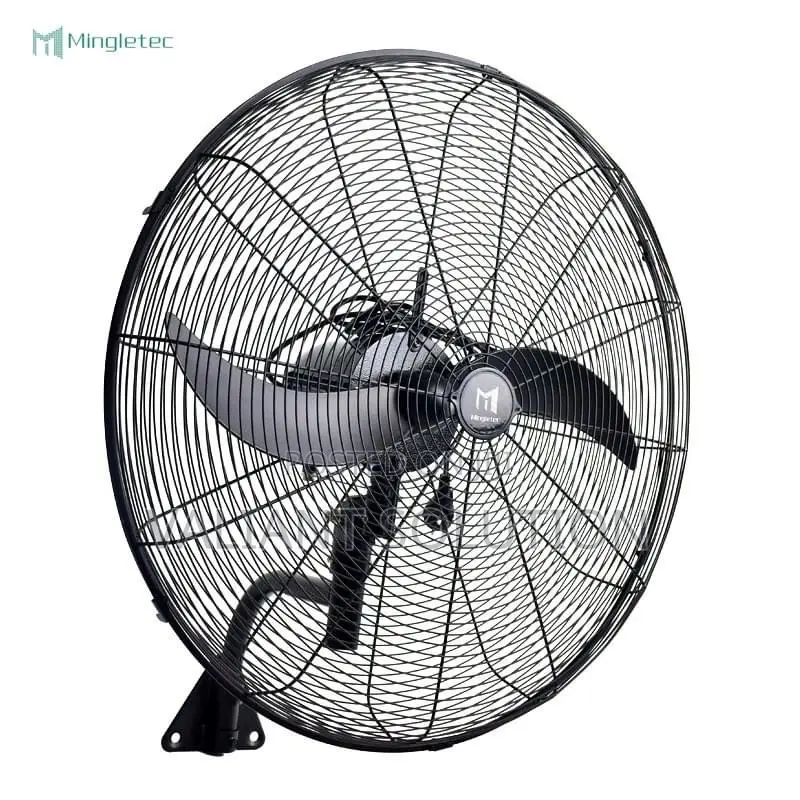 Wall Mount Fan