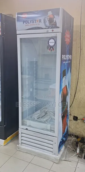 New Polystar Display Standing Chiller (PV-SC495CSL) Original