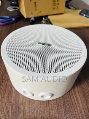 Surface Speaker