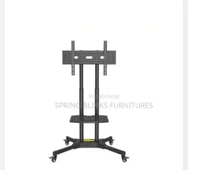 Standard Standing TV Stand