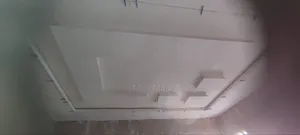 Paint And And Decorations Work Of Any Variety