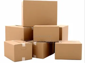 Packaging Carton for Products Movement
