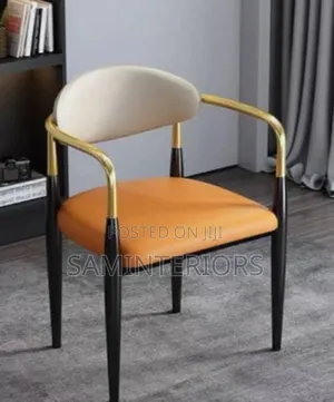 New Luxury Multi-Purpose Chair