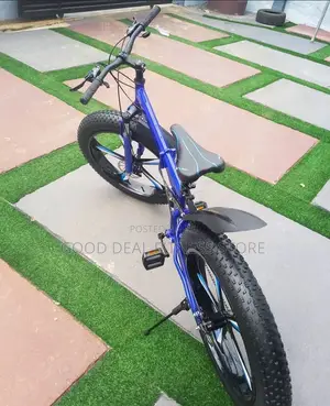Exclusive Fat Tyre Bike Alloy Wheel