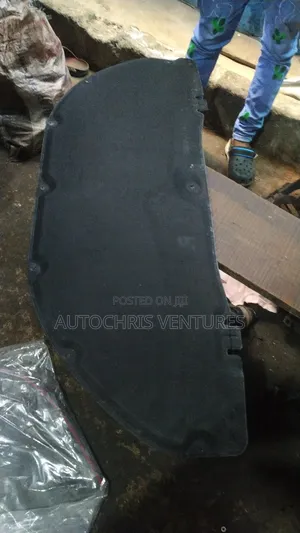 Bonnet Mat for Rx350 2018