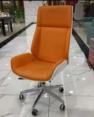 Beautiful Executive Office Chair