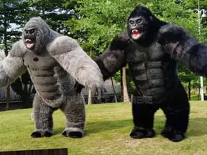 Application to of Gorilla Costume Rentage
