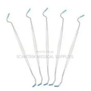 Quality Plastic Dental Probe