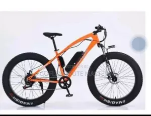 Electric Bicycle