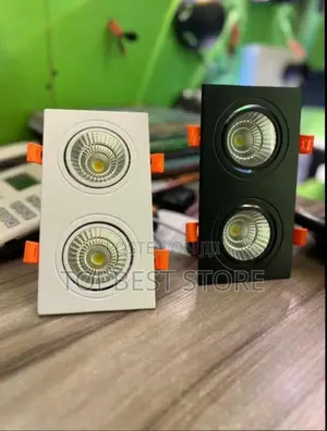 Double Spot Light 3color