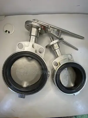 Bray Contols Stainless Steel Butterfly Valve