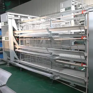 Automatic Poultry Breeding Equipment,Chaff Cutter,Pelletizer