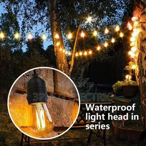 10m 10bulbs String Light