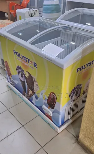 New Polystar 303l Display Chiller Freezer for Business 2yrs