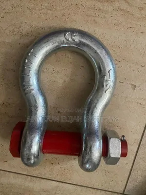 Tested Bowl Shackle 17 Tons Bolt and Nut