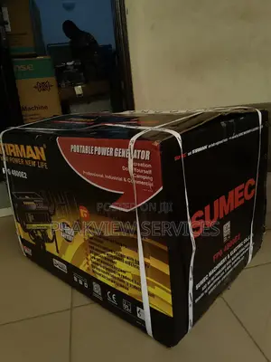 Firman Portable Power Automatic Generator Fpg4800e2