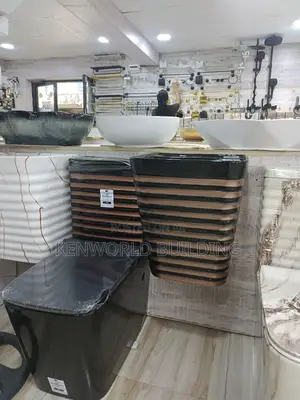 Unique Back to Wall Wc
